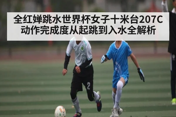 全红婵跳水世界杯女子十米台207C动作完成度从起跳到入水全解析